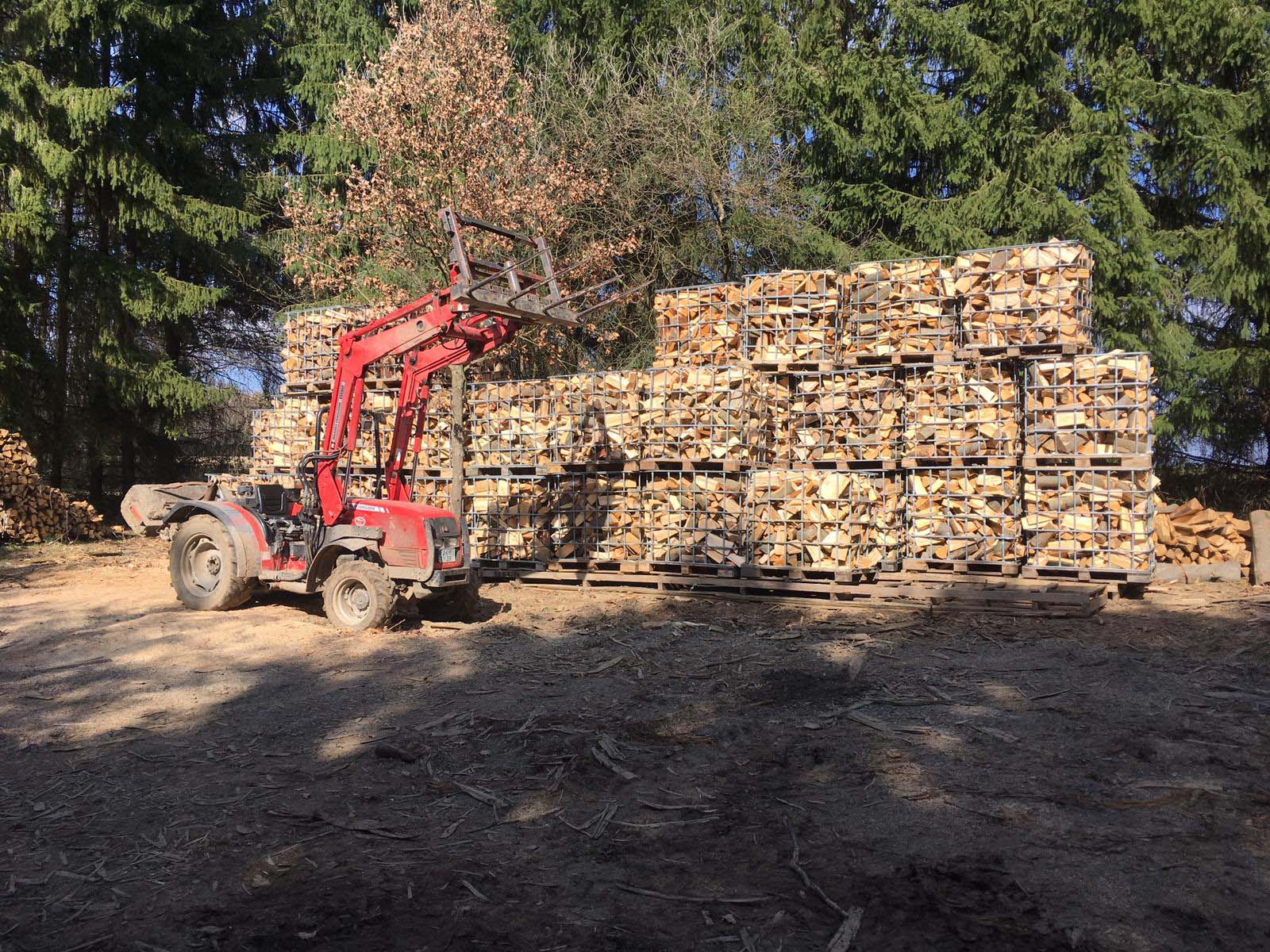 Stammholzabtransport mit Deutz Fahr und Rückewagen