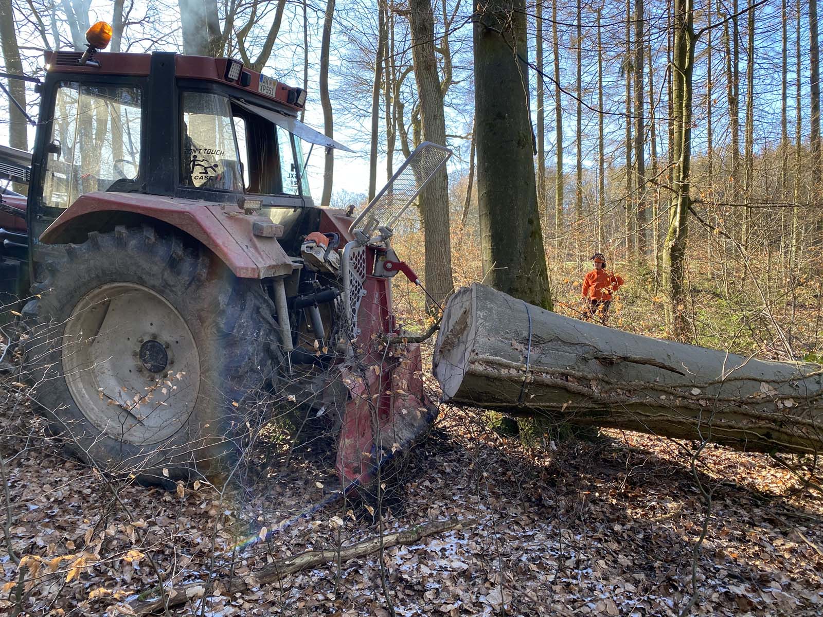 Bearbeitung Brennholzbündel